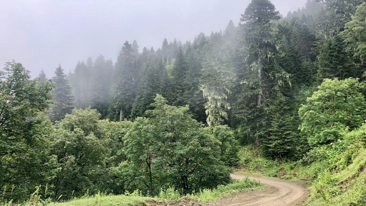 Misty roads on the Zekari Pass